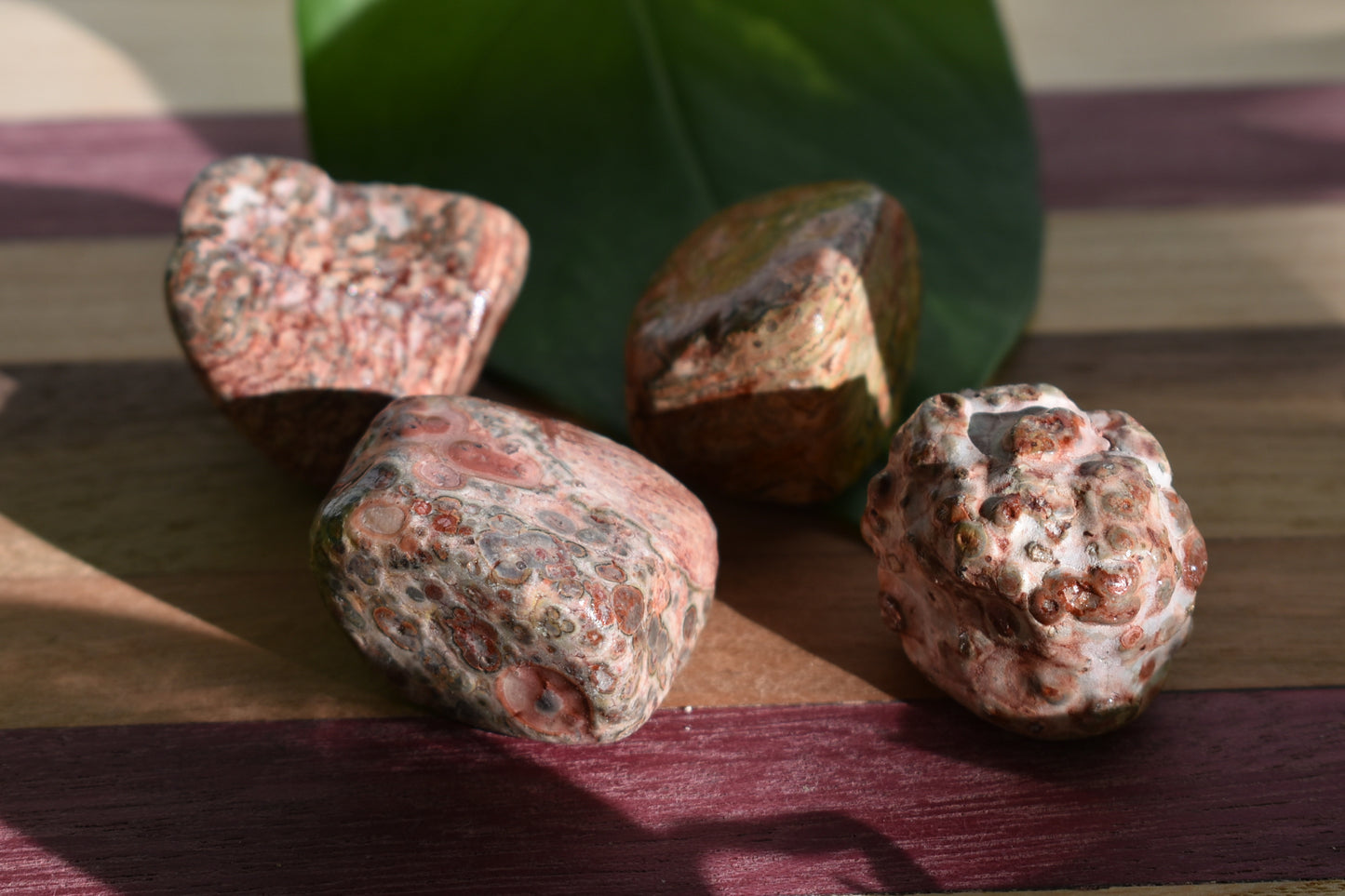 Leopard Jasper Large Tumbled Stones (one per order)