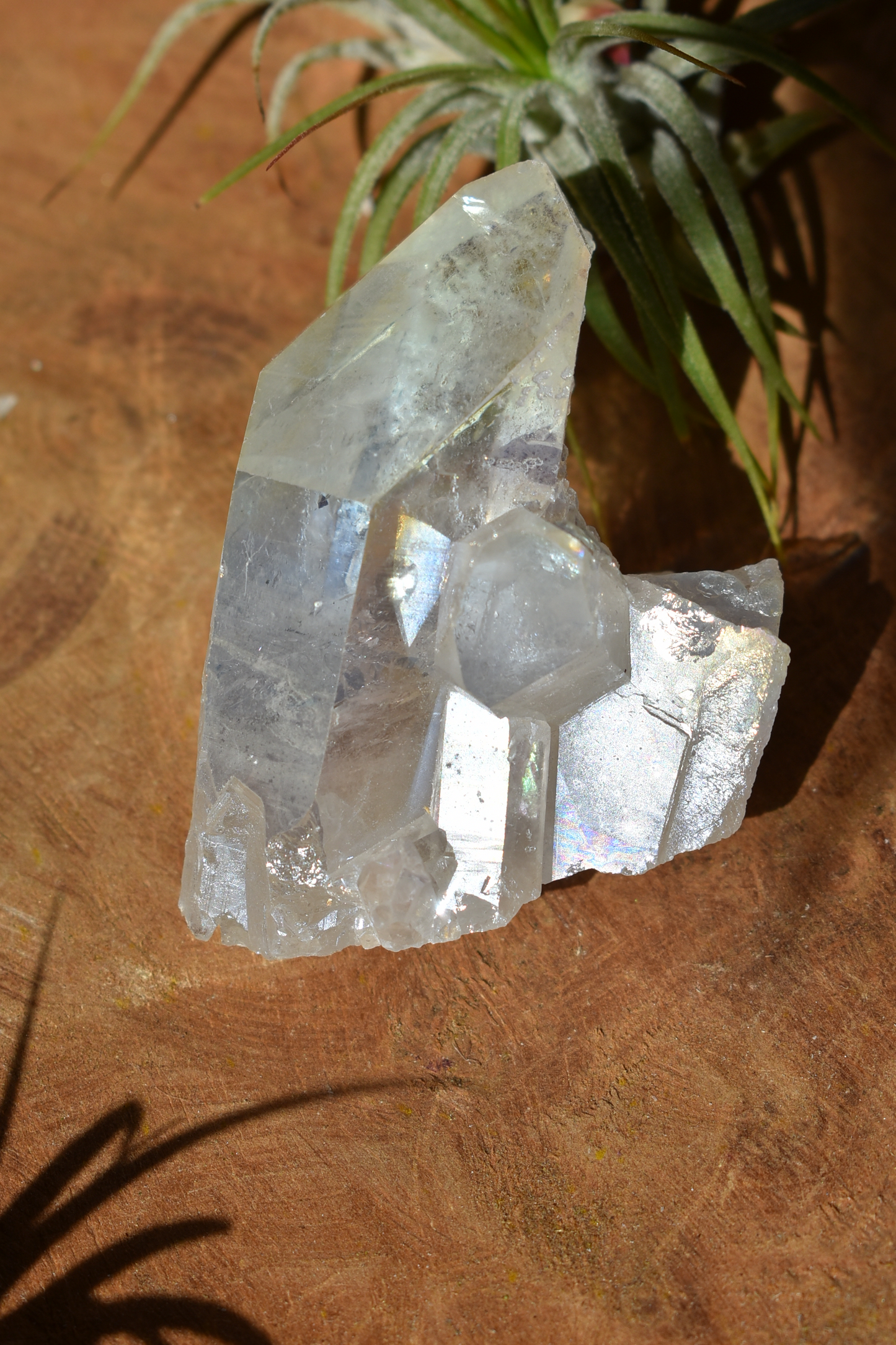 Angel Aura Quartz - #5
