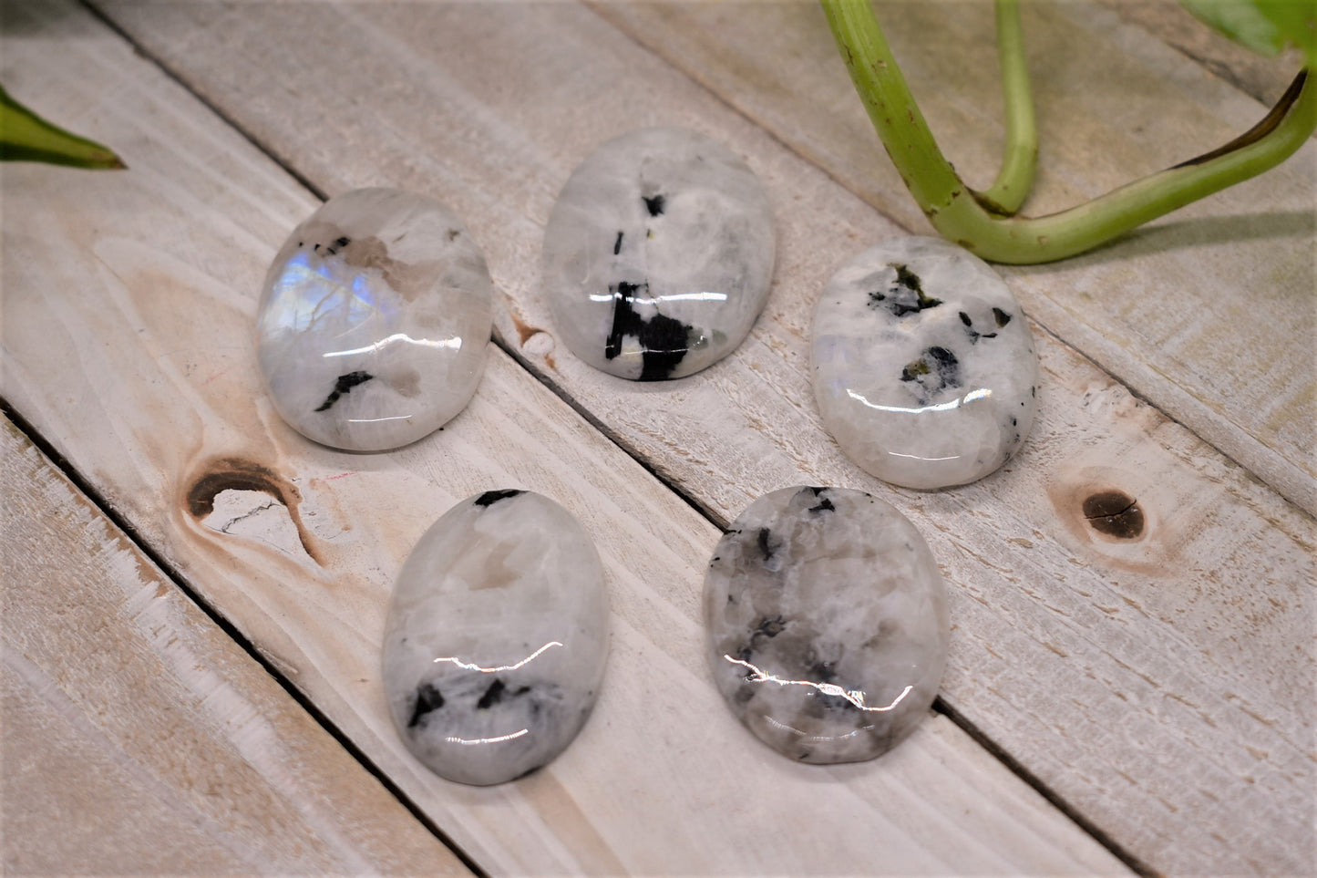 Rainbow Moonstone Cabochon - Small Oval