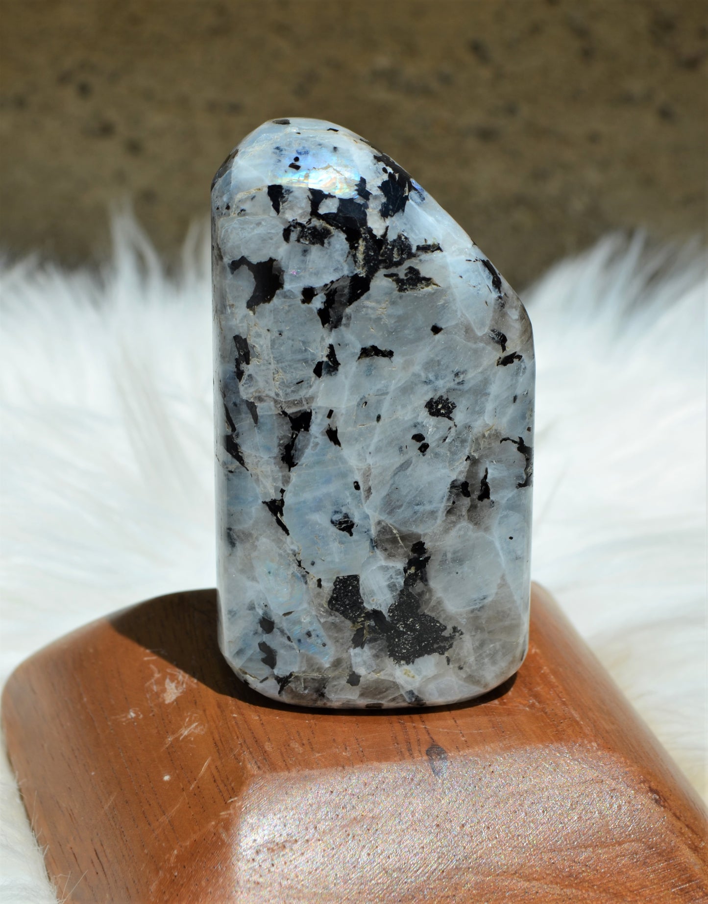 Rainbow Moonstone Free Form - #2