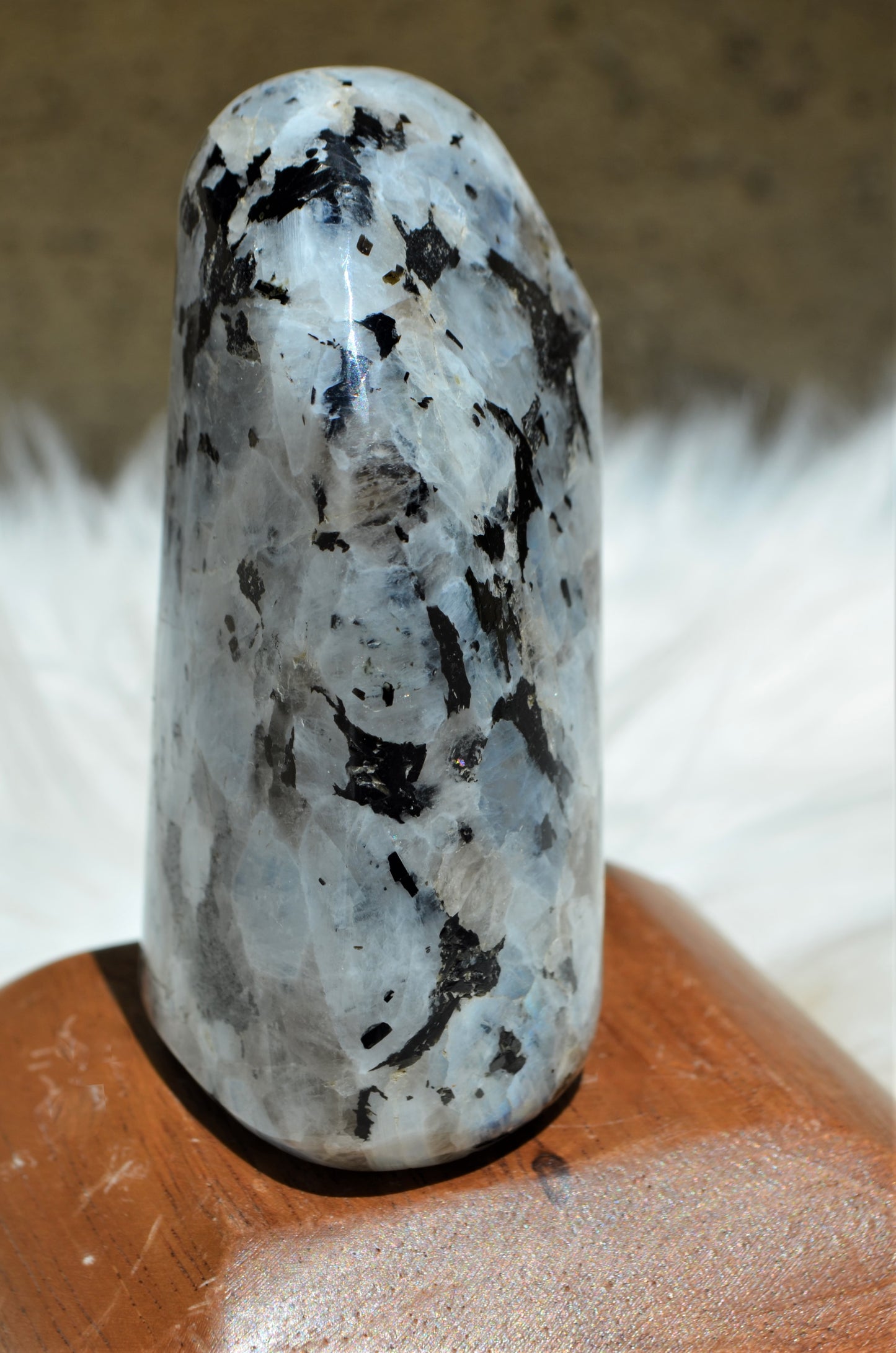 Rainbow Moonstone Free Form - #2