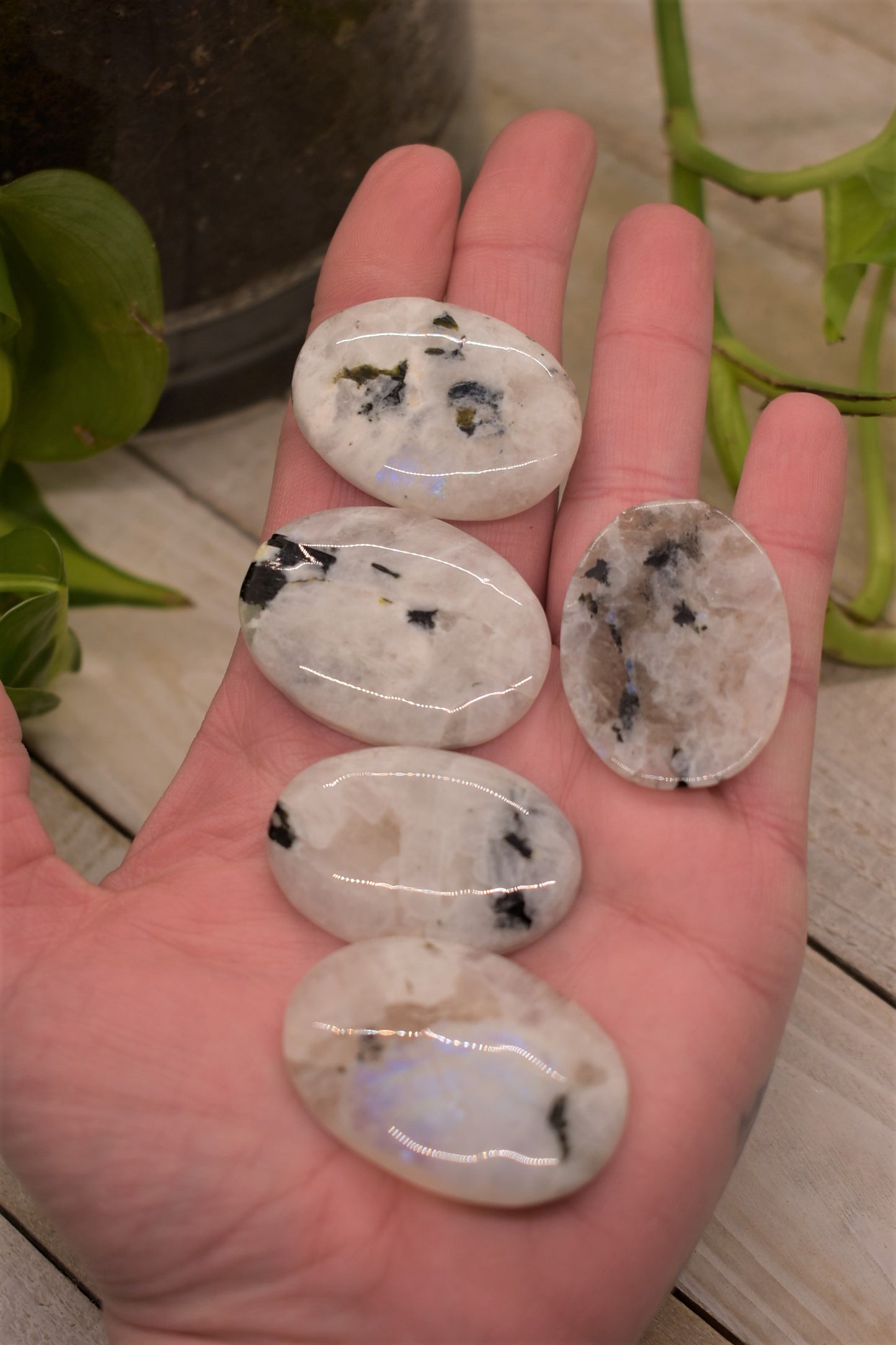 Rainbow Moonstone Cabochon - Small Oval