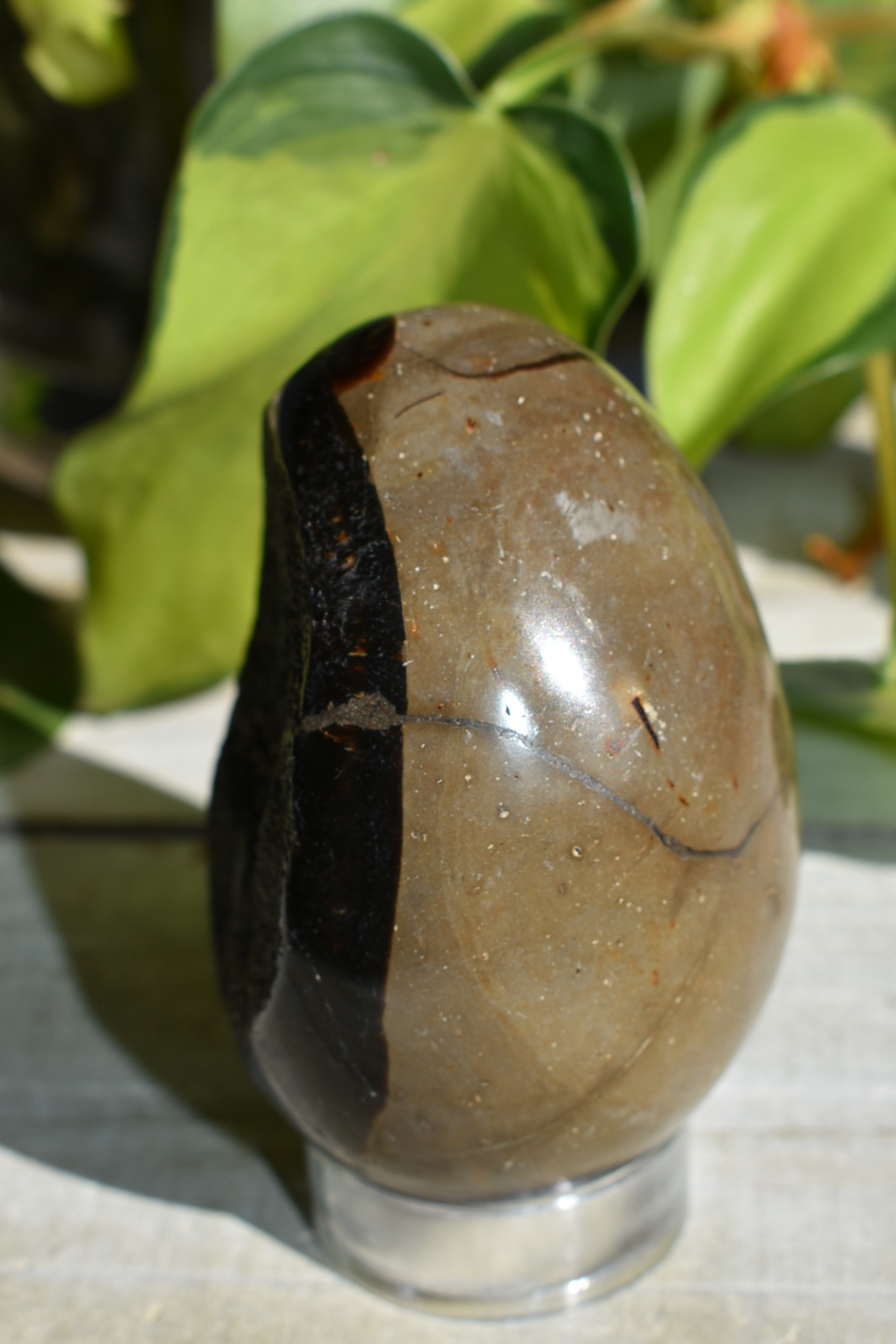 Septarian Egg - #3
