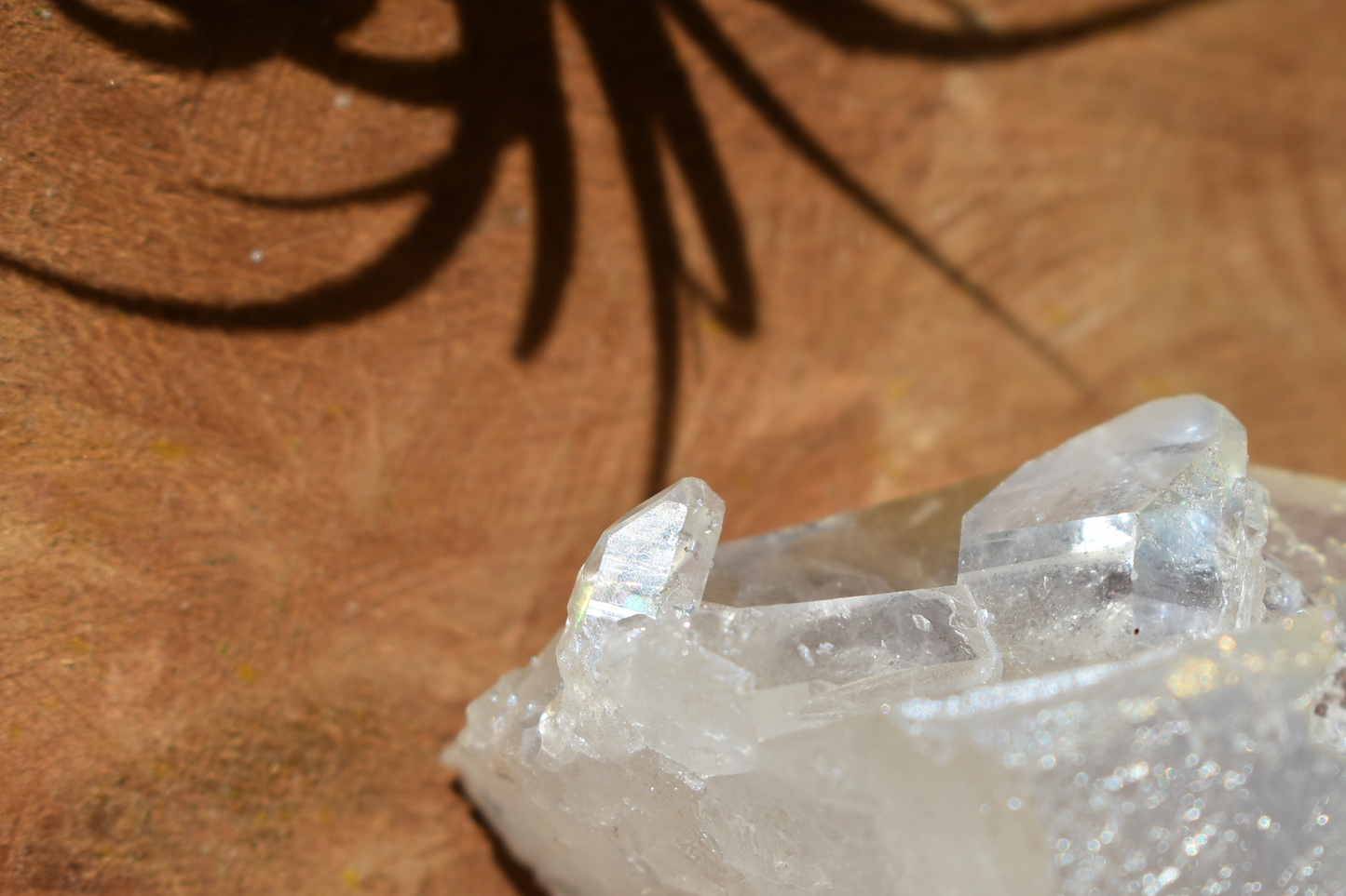 Angel Aura Quartz - #5