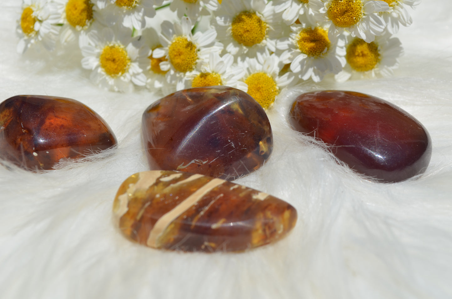 Amber (one per order)