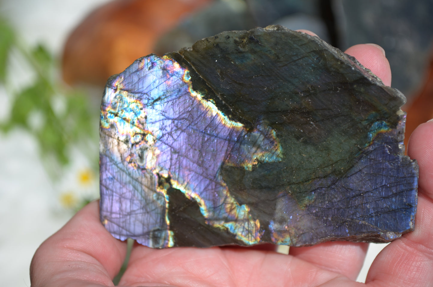Labradorite Freeform - One Side Polished