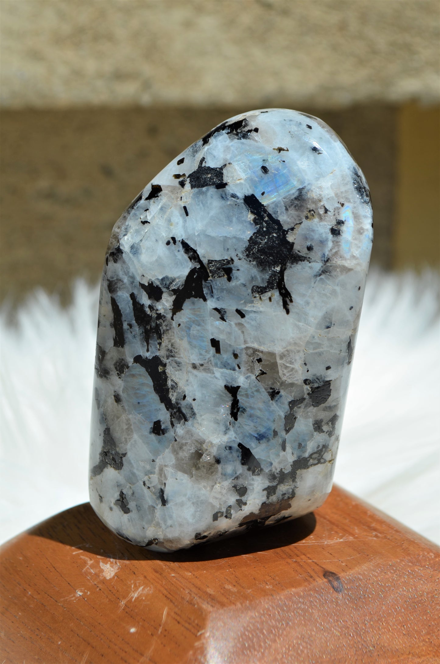 Rainbow Moonstone Free Form - #2