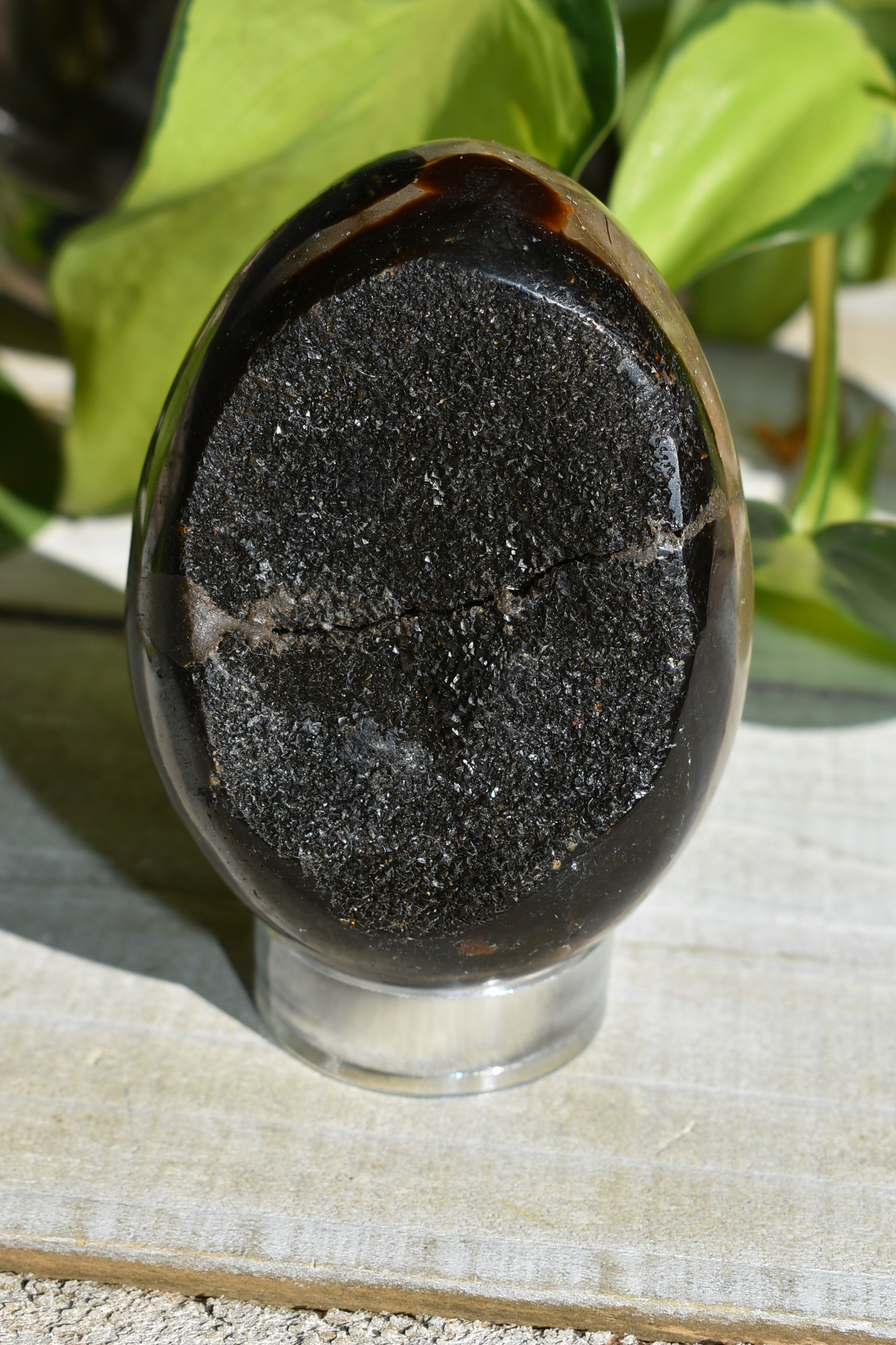 Septarian Egg - #3