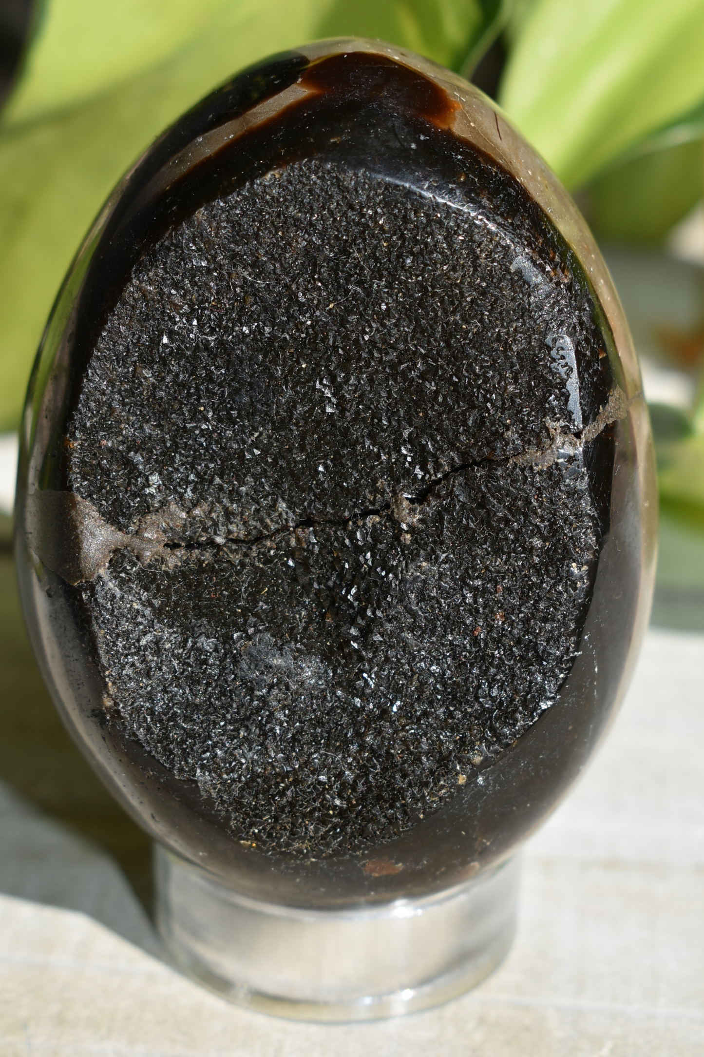 Septarian Egg - #3
