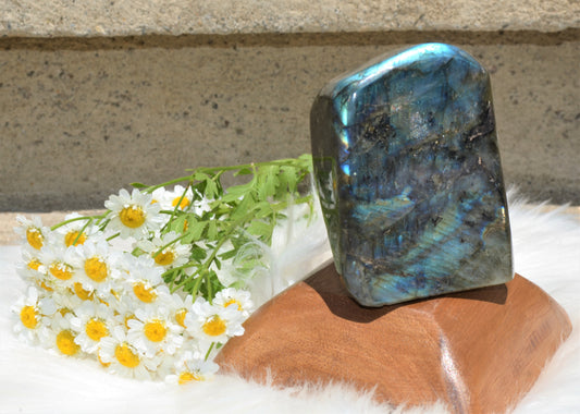 Labradorite Free Form Polished - Medium