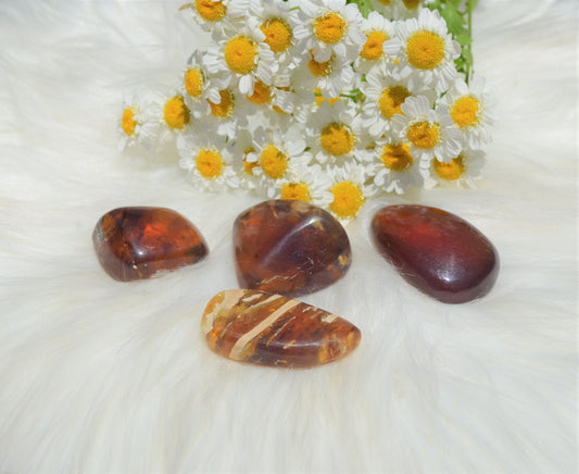 Amber (one per order)