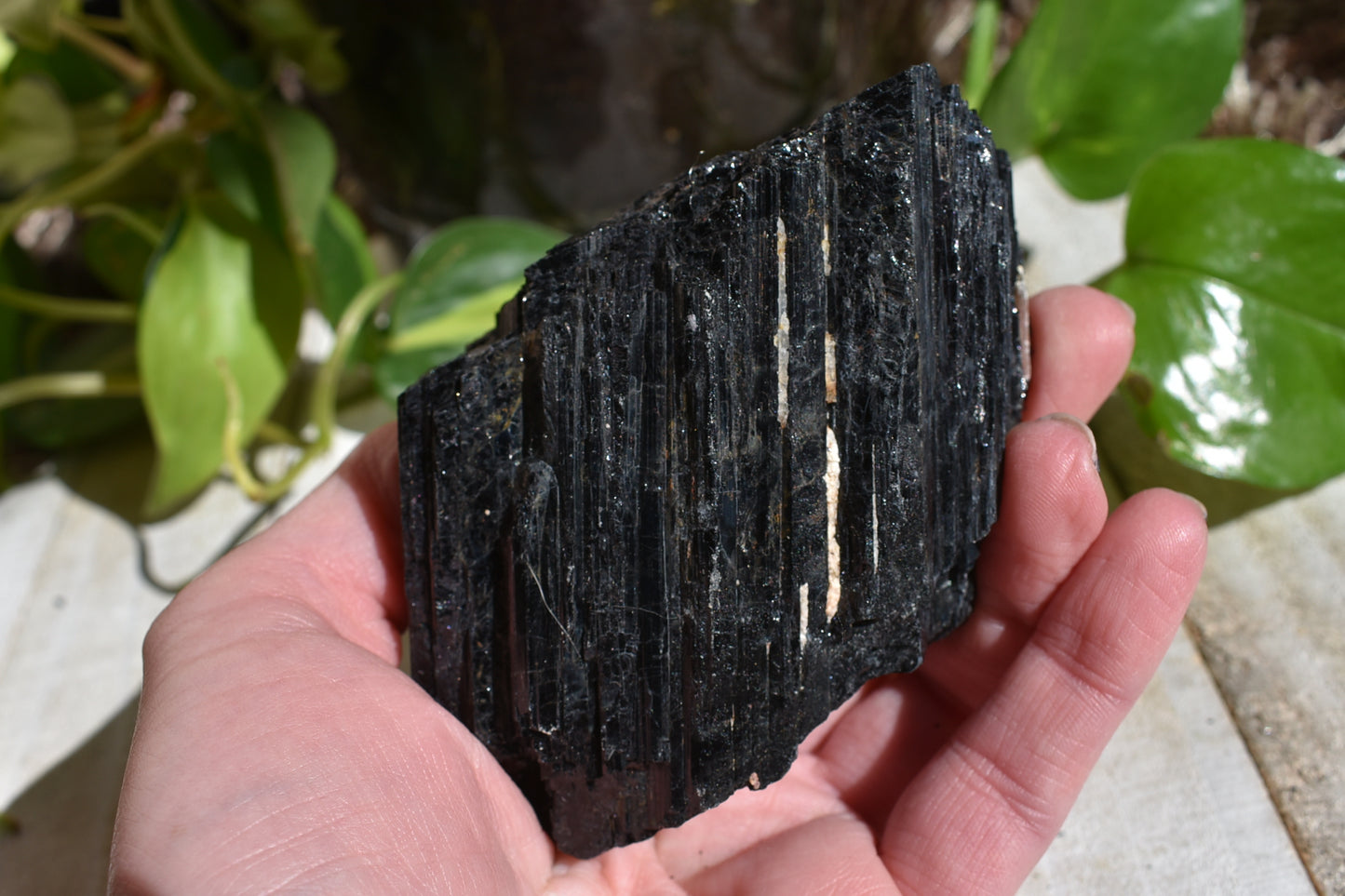 Black Tourmaline - Raw #4