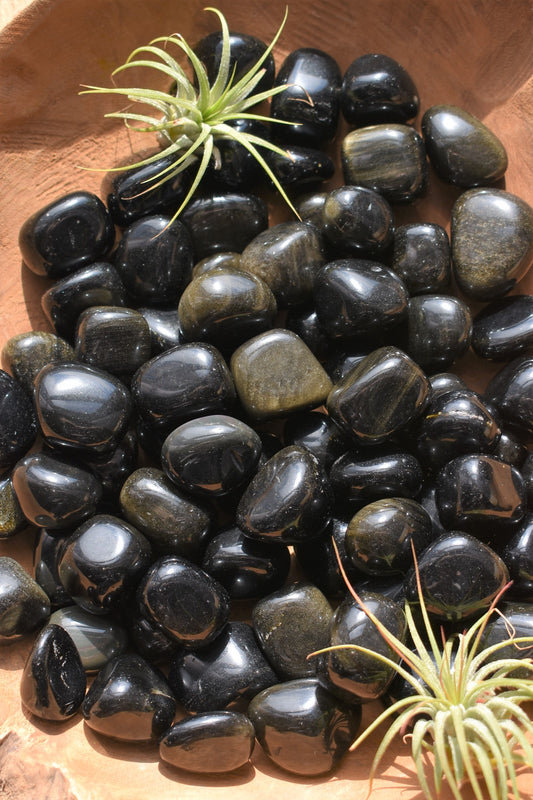 Obsidian - Golden Sheen Polished