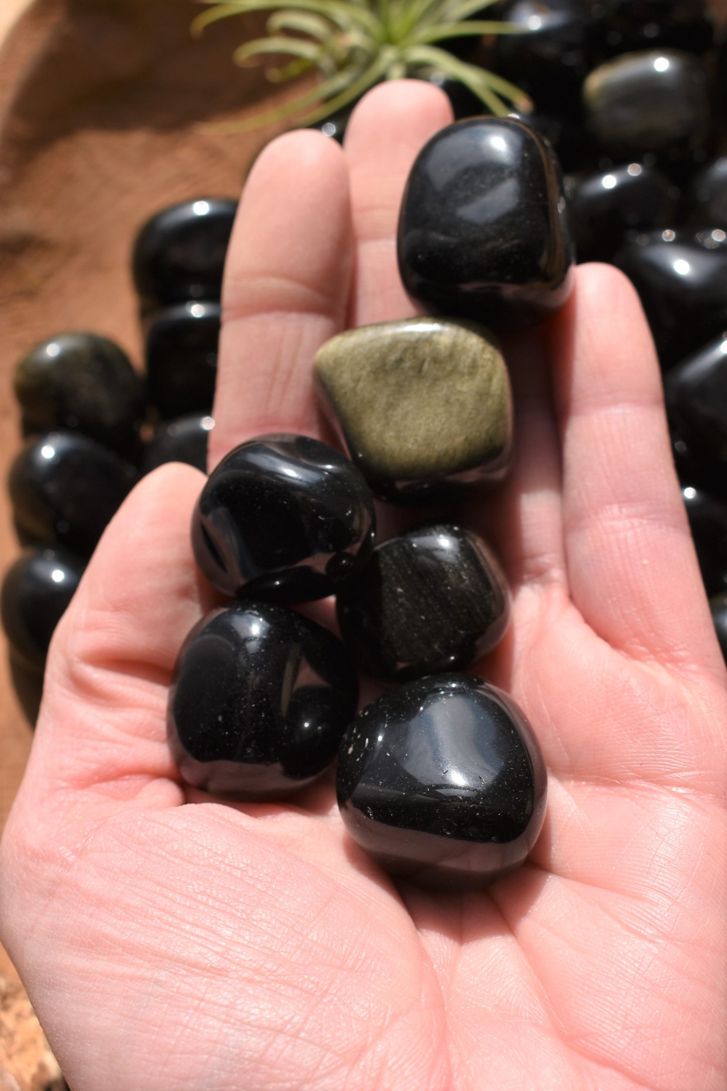 Obsidian - Golden Sheen Polished