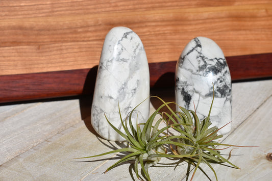 Howlite Polished Freeform - #2