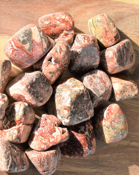 Leopard Jasper Large Tumbled Stones (one per order)