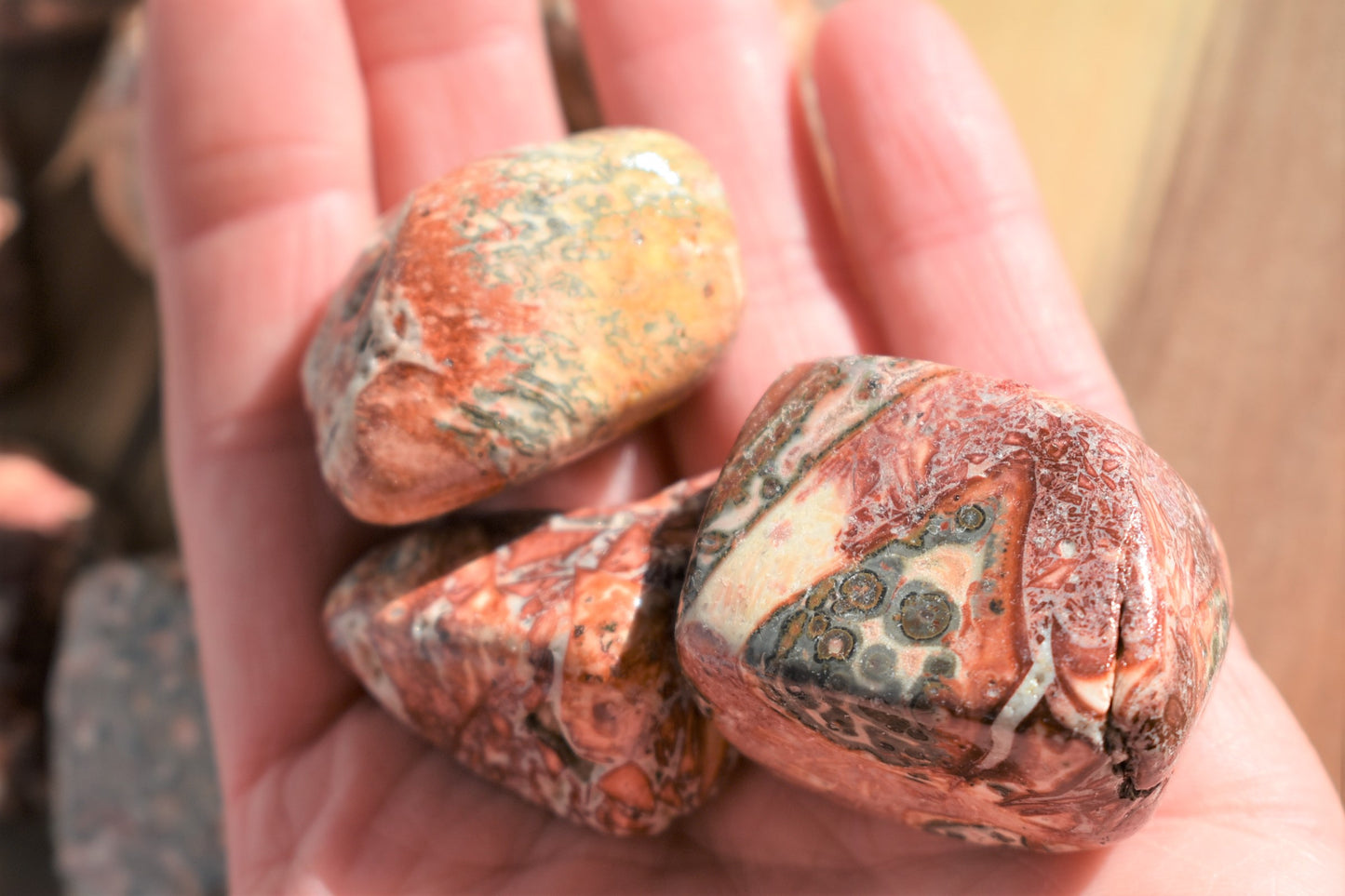 Leopard Jasper Large Tumbled Stones (one per order)