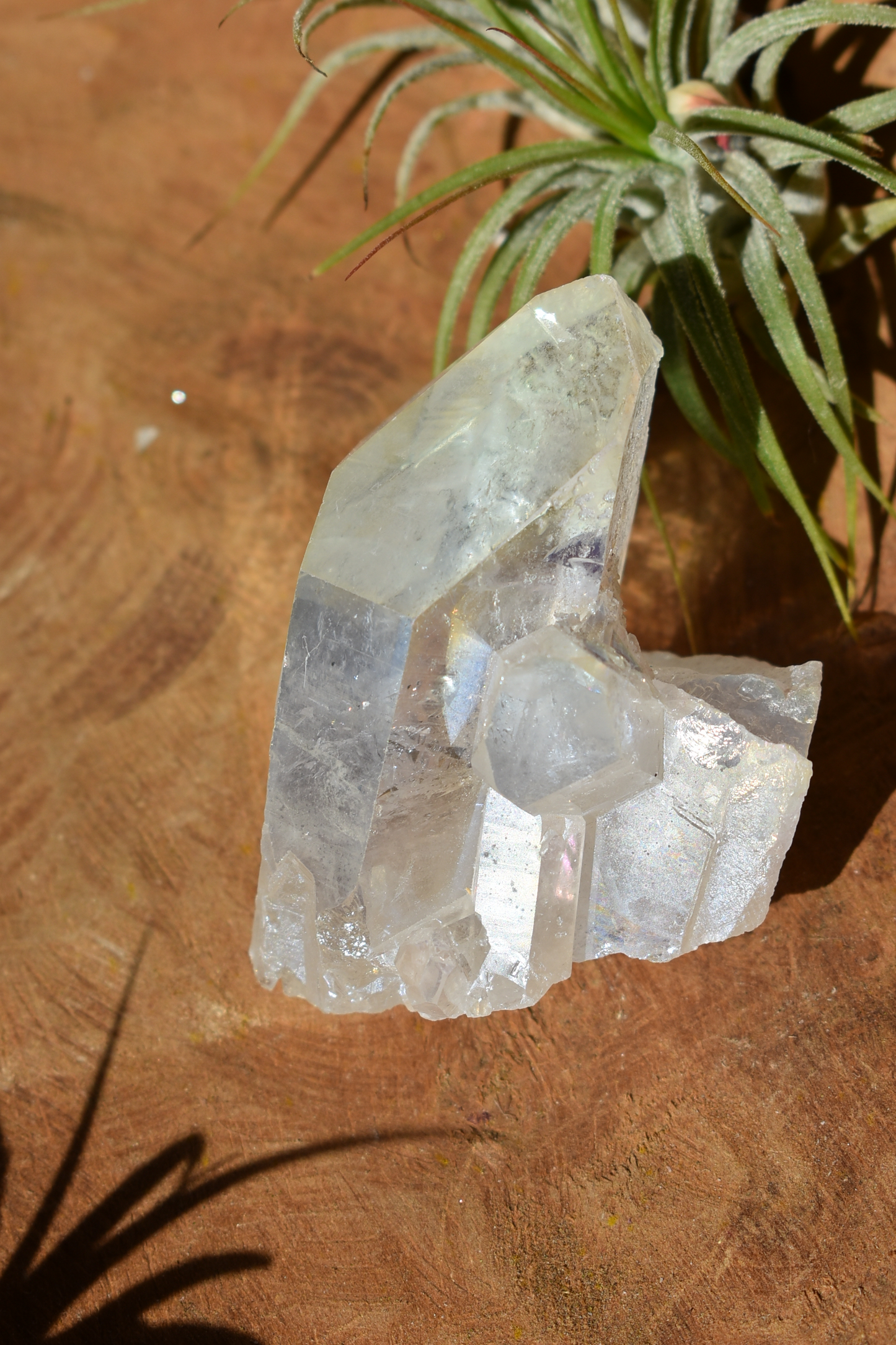 Angel Aura Quartz - #5