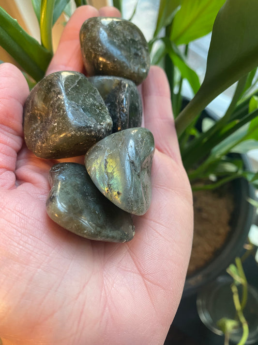 Labradorite Tumbled Stones -Large
