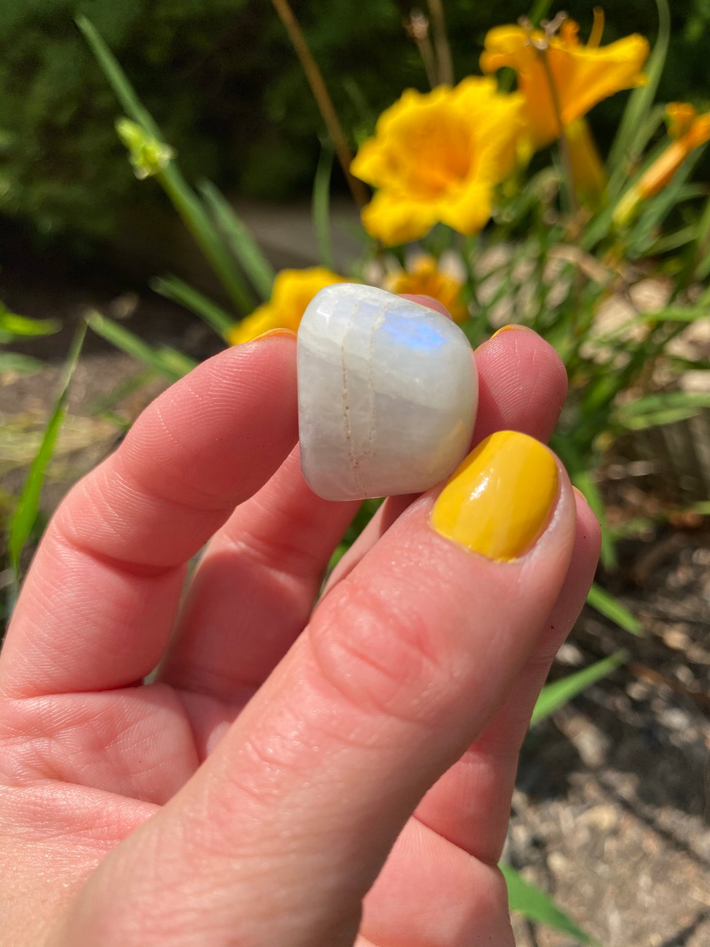 Rainbow Moonstone Tumbled Stones