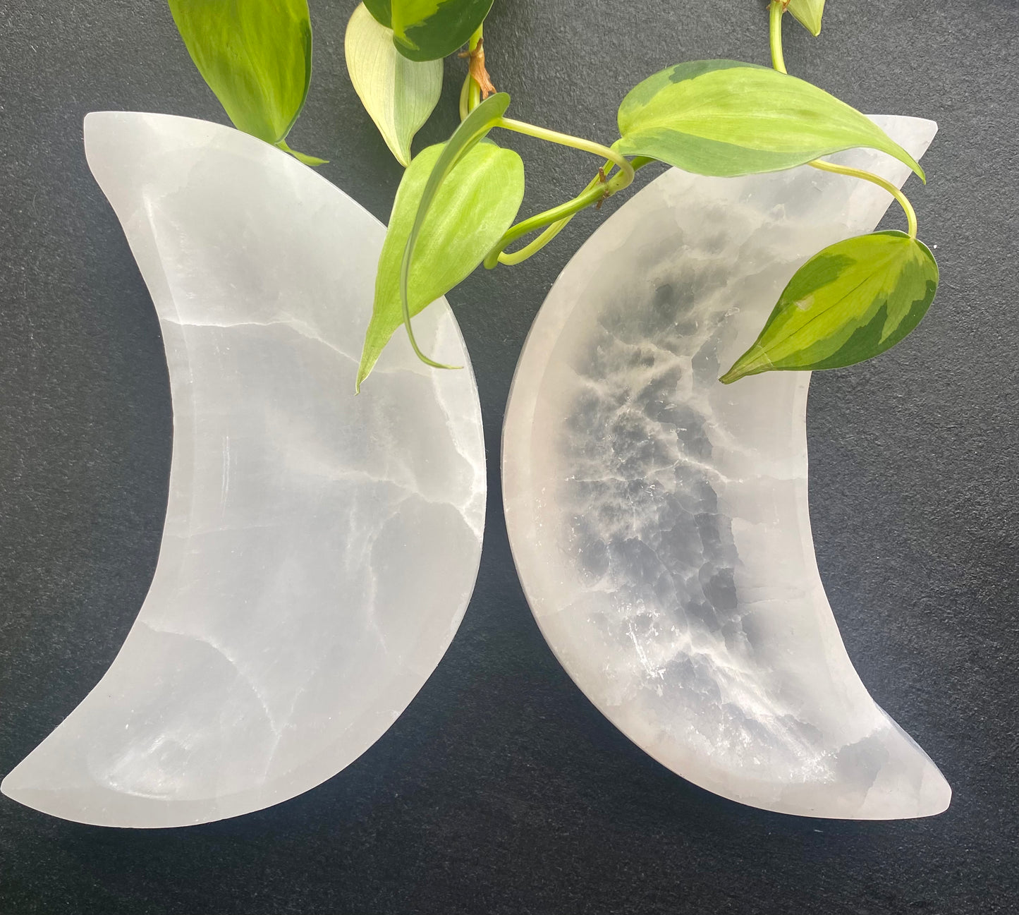 Selenite Moon Bowls - Large