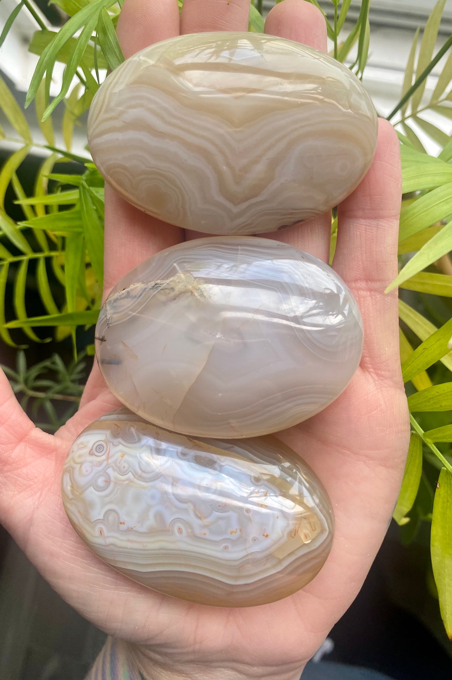 Agate Palm Stones