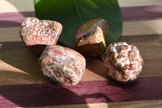 Leopard Jasper Large Tumbled Stones (one per order)