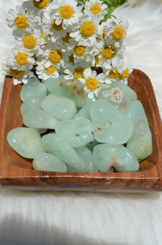 Prehnite Tumbled Stone