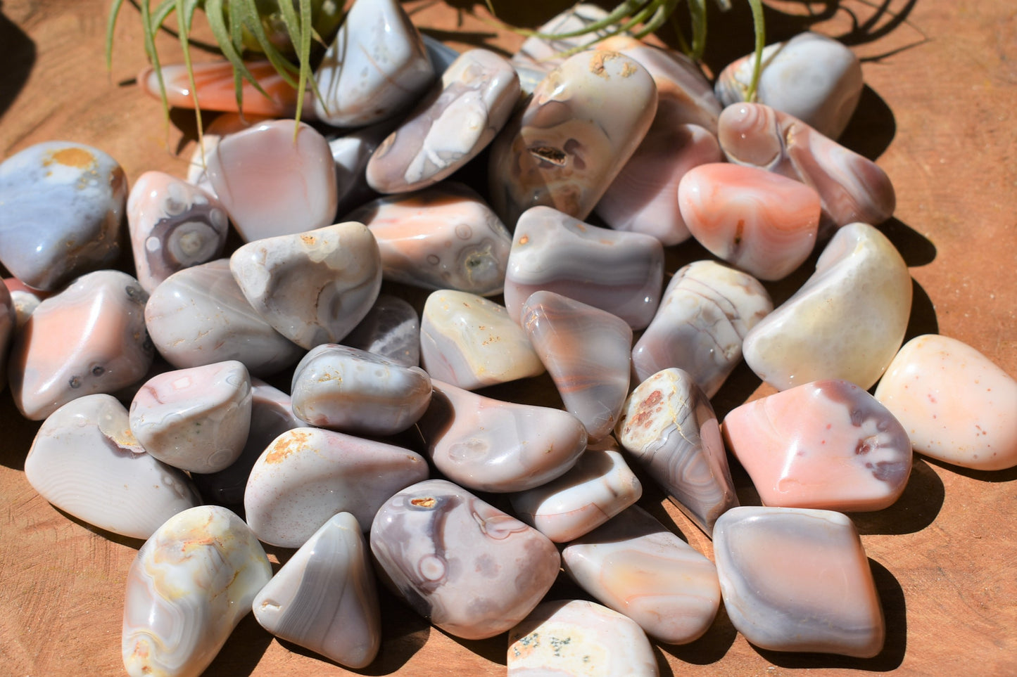 Botswana Agate - Tumbled (3 for $5.00)