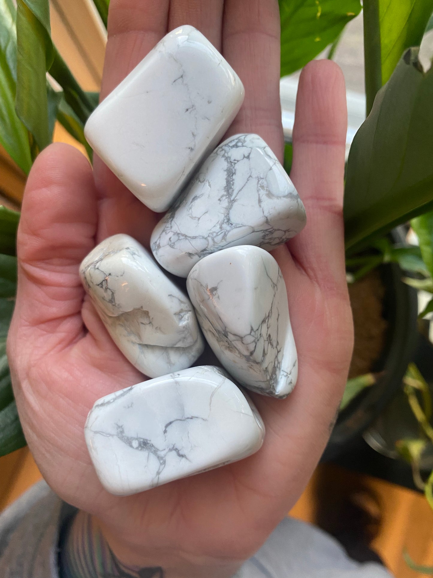 Howlite Tumbled Stones - Large
