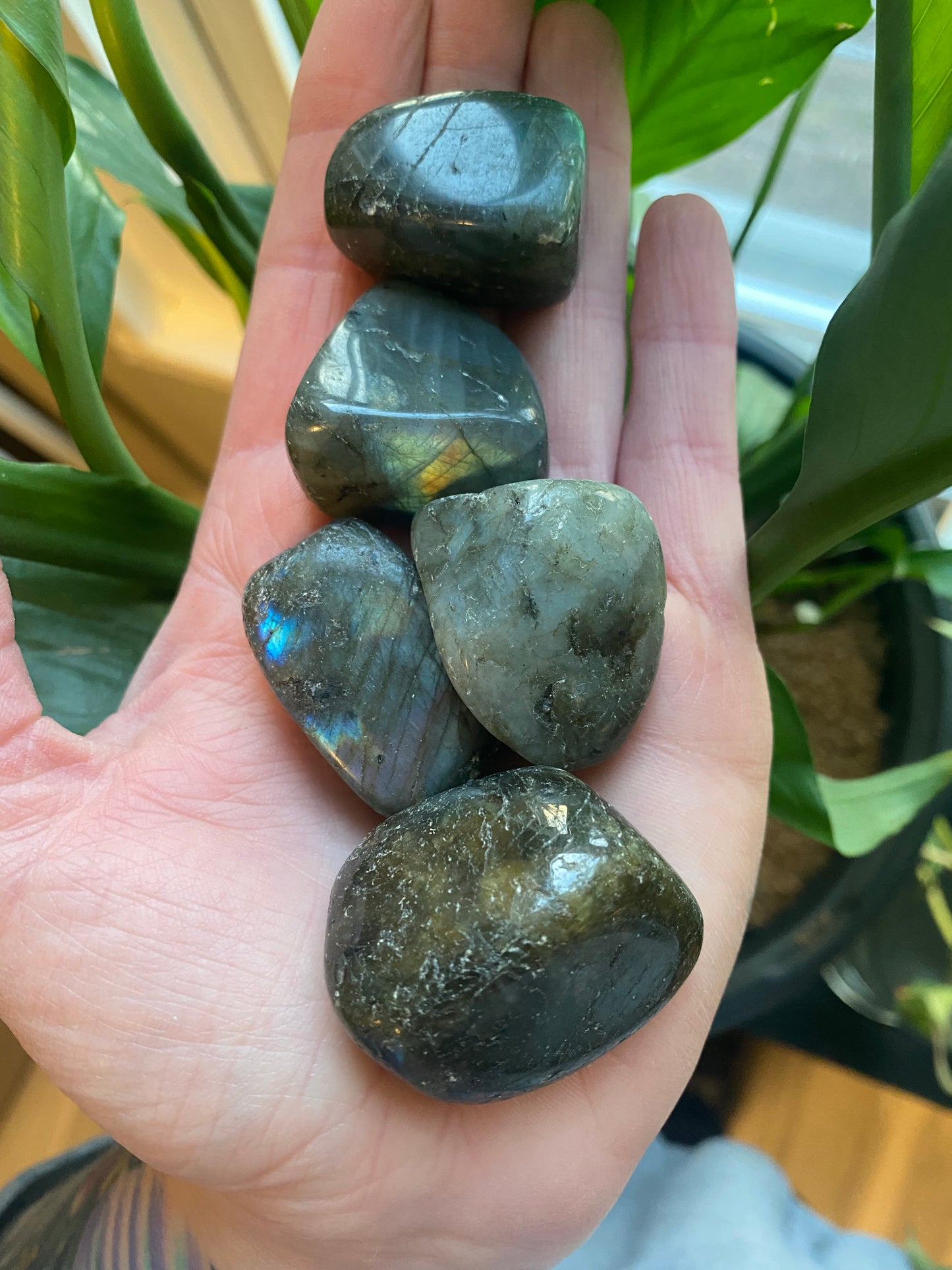 Labradorite Tumbled Stones -Large
