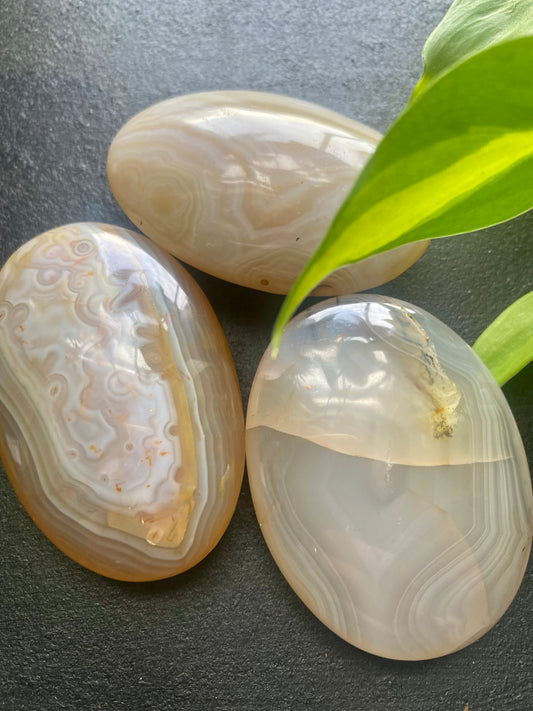 Agate Palm Stones